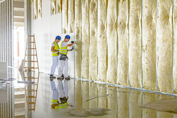 Best Commercial Insulation Services  in South Barre, VT